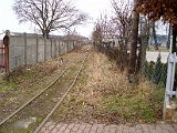 IMG_6179.jpg