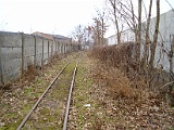 IMG_6180.jpg