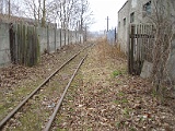 IMG_6181.jpg