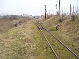 IMG_6184.jpg