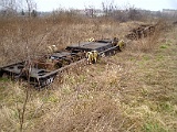 IMG_6186.jpg