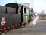 IMG_6225.jpg