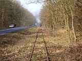 IMG_6229.jpg