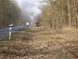 IMG_6230.jpg