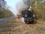IMG_6232.jpg