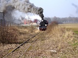 IMG_6237.jpg