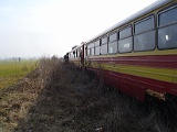 IMG_6239.jpg