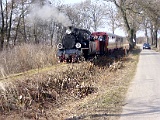IMG_6251.jpg