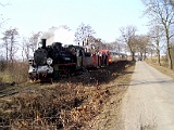 IMG_6252.jpg