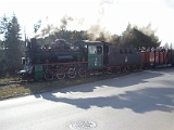 IMG_6281.jpg