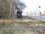 IMG_6283.jpg