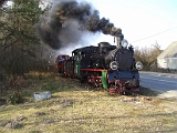 IMG_6284.jpg