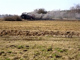 IMG_6290.jpg