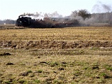 IMG_6291.jpg
