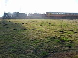 IMG_6294.jpg