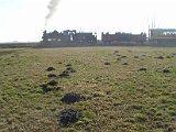 IMG_6295.jpg