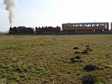 IMG_6296.jpg