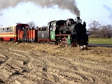IMG_6302.jpg