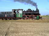 IMG_6303.jpg