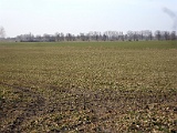 IMG_6305.jpg