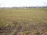 IMG_6306.jpg