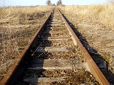 IMG_6307.jpg