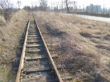 IMG_6308.jpg
