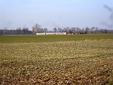 IMG_6309.jpg