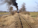 IMG_6312.jpg