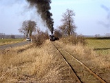 IMG_6313.jpg