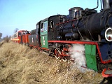 IMG_6316.jpg