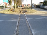 IMG_6325.jpg