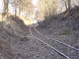 IMG_6328.jpg