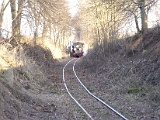 IMG_6329.jpg