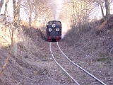 IMG_6330.jpg