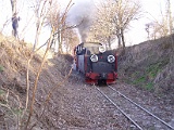 IMG_6331.jpg