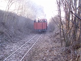 IMG_6332.jpg