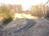 IMG_6333.jpg