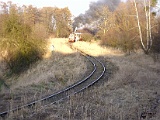 IMG_6334.jpg