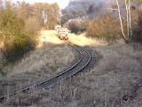 IMG_6335.jpg