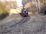 IMG_6336.jpg
