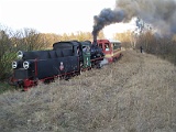 IMG_6337.jpg