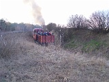 IMG_6339.jpg