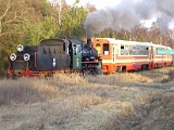 IMG_6347.jpg