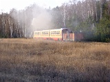 IMG_6350.jpg