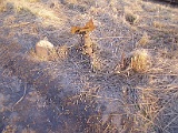 IMG_6351.jpg