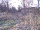 IMG_6353.jpg