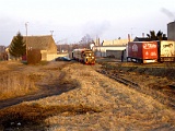 IMG_6356.jpg