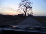 IMG_6375.jpg