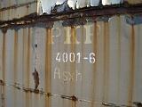 IMG_6386.jpg